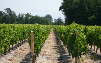 Listrac-Médoc