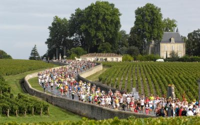 Marathon du Médoc…
