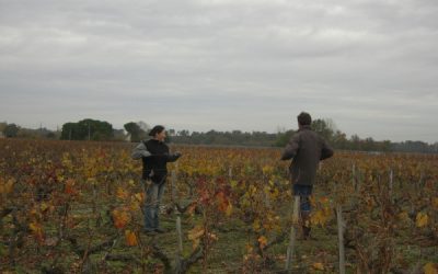 Les travaux d'hivernage…