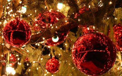 Noël 2013 : Commandes et livraisons toujours possibles