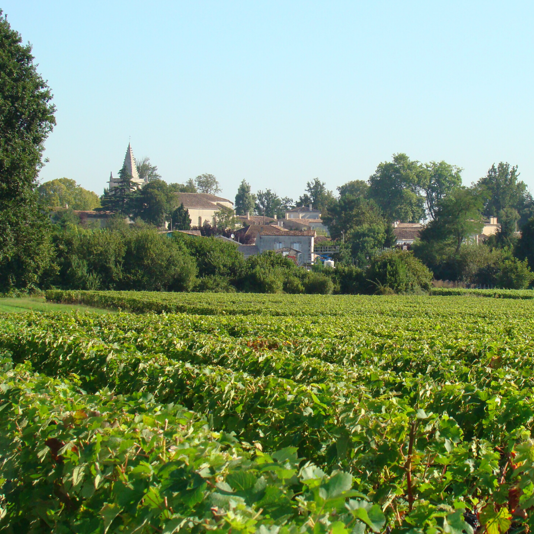 Listrac fête le vin 2